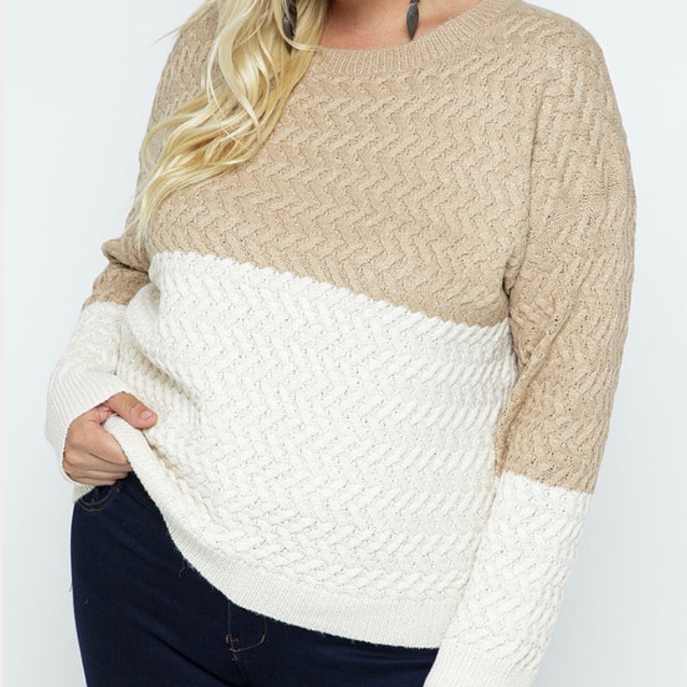 Mocha Latte Sweater Plus Size